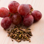 Grape Seed