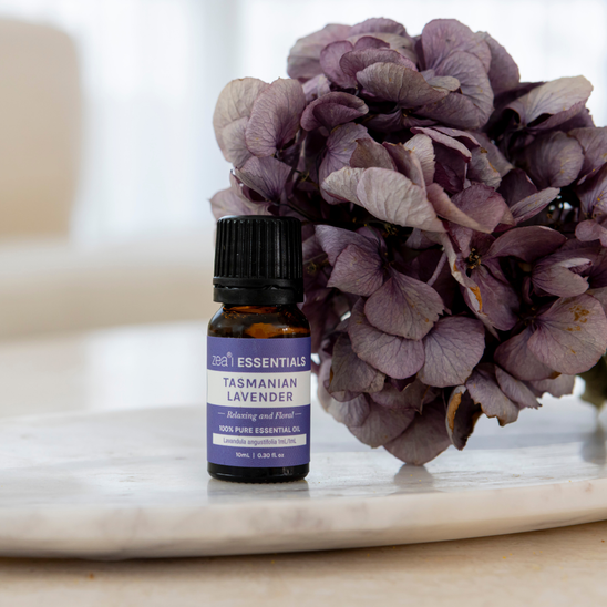 Best-Selling Zea Essentials Collection
